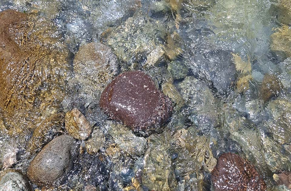🏞️ Top 5 des rivières sauvages à découvrir près de Nice